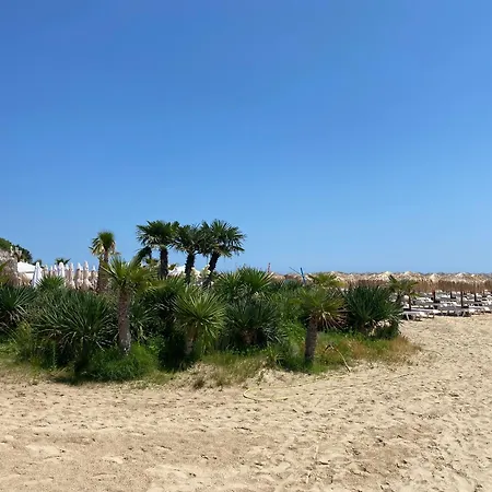 Horizon 38 'б' * 스베티 블라스